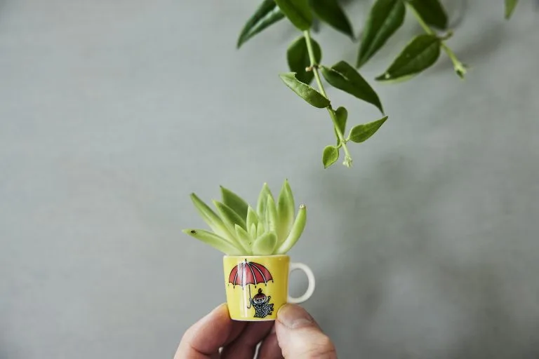 Arabia Mumin Minimukia 6-pack Kolmas Classic - Image 3