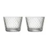 Iittala Tundra Juomalasi 16 Cl 2-pakkaus