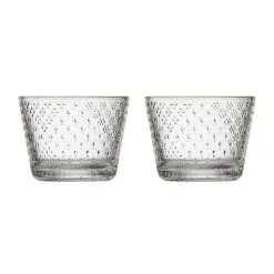 Iittala Tundra Juomalasi 16 Cl 2-pakkaus